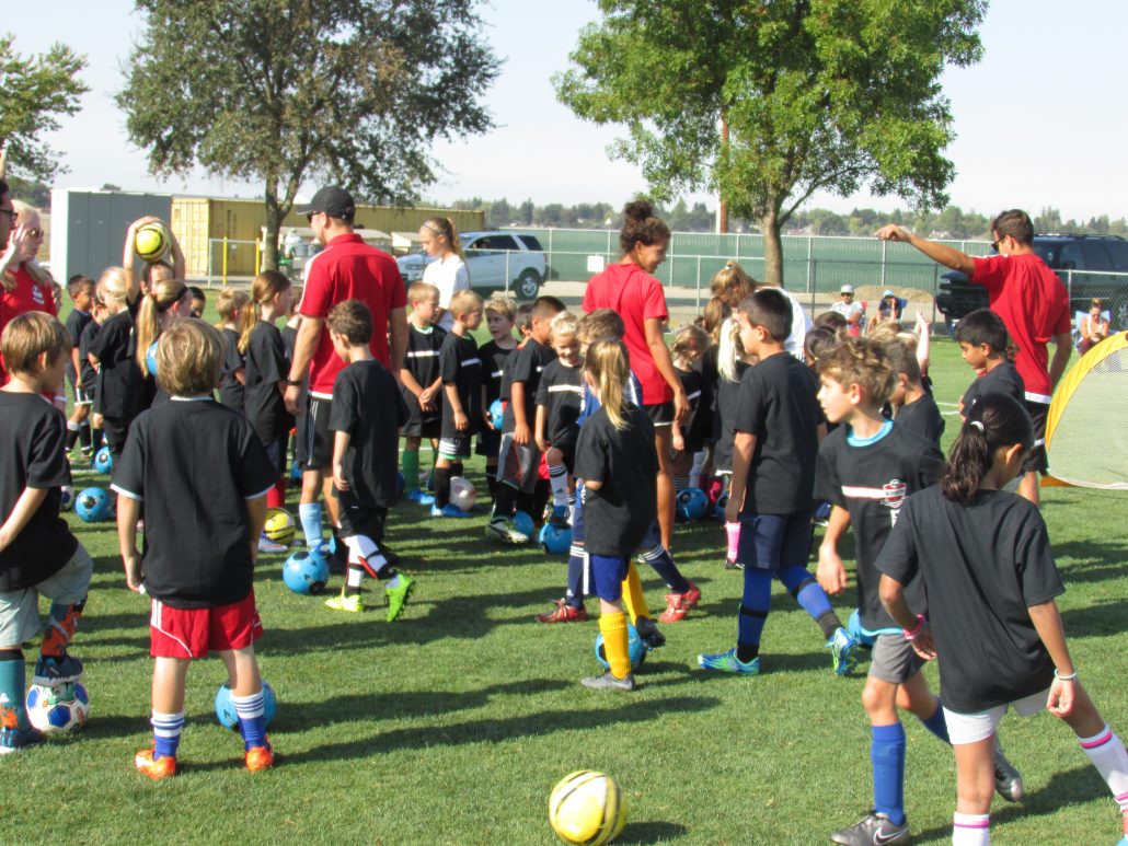 Davis Legacy Soccer Club
